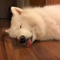 Profile picture of Takra Wongwut