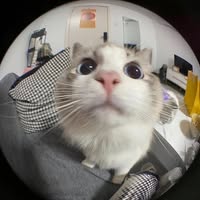 Profile picture of Napatsanan Phin